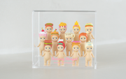 Acrylic Display Case E1