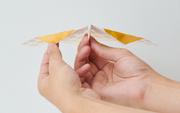 Papillon Origami Airplanes W3