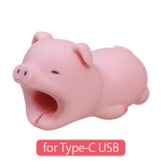 CABLE BITE for Type-C USB N3