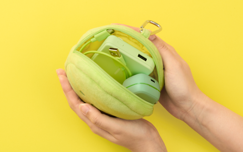 SMISKI Cushion Pouch F8