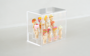 Acrylic Display Case E1
