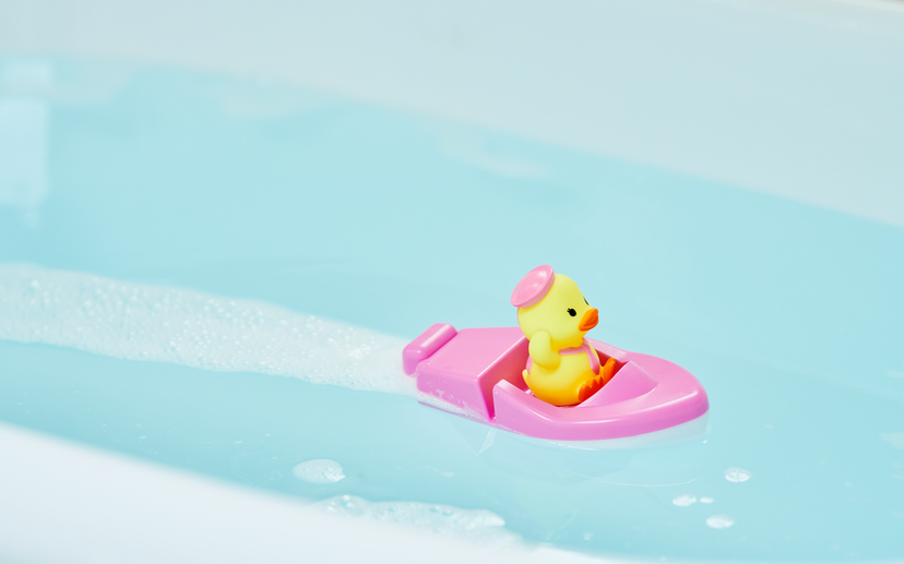 Duck Sailor Boat C5
