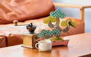 Play Plants Bonsai Puzzles O9