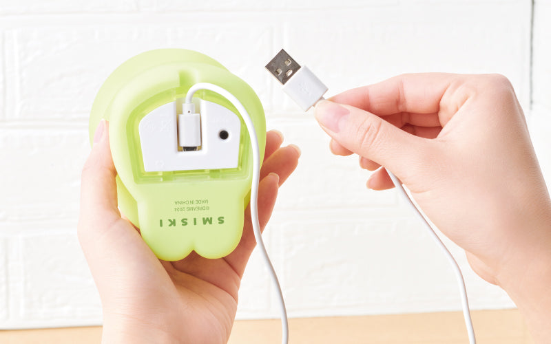 SMISKI Touch Light B8