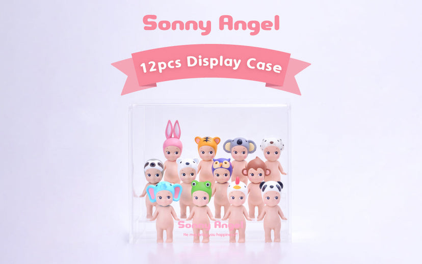Acrylic Display Case E1