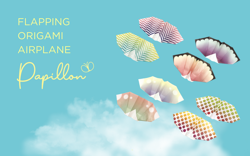 Papillon Origami Airplanes W3