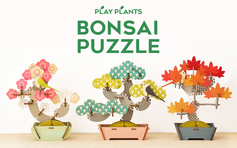 Play Plants Bonsai Puzzles O9