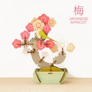 Play Plants Bonsai Puzzles O9