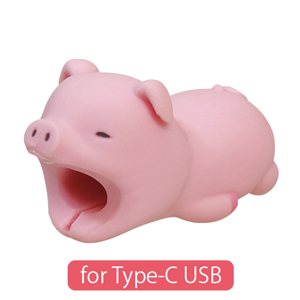 CABLE BITE for Type-C USB N3