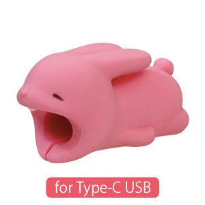 CABLE BITE for Type-C USB N3